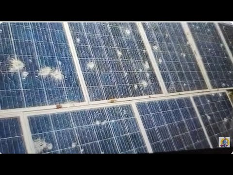 Видео: Хамство диплома а так же сущность. УРОК № 5(жизненный).