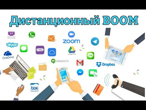 Видео: Программирование линейных алгоритмов (г.Шахтинск, ОШ №7, Блиндина О.Ю.)