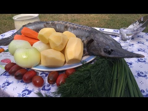 Видео: Уха по-царски из стерляди (осётр) в казане