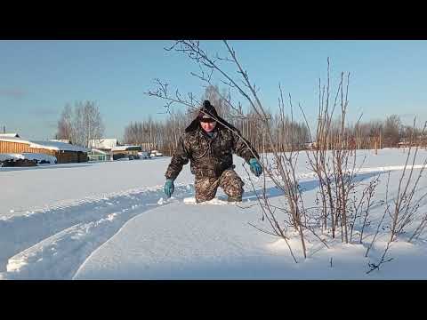 Видео: На динго т125 по снежной глади.