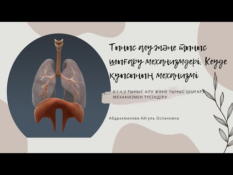 Видео: Тыныс алу және тыныс шығару механизмдері. Кеуде қуысының механизмі 8-сынып. 6-Бөлім. Тыныс алу