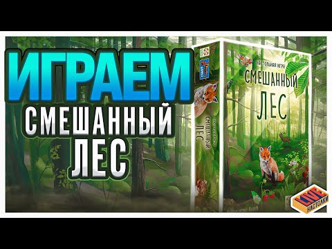 Видео: Играем в настольную игру Смешанный Лес