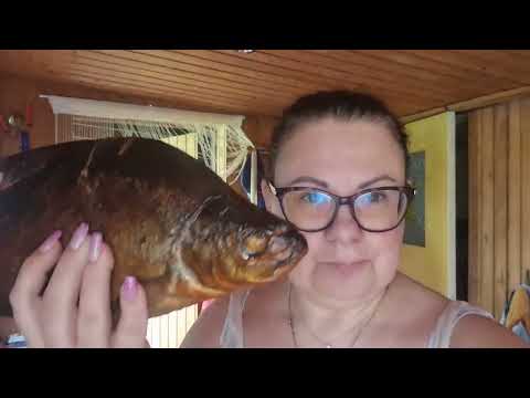 Видео: Я вернулась! На даче.