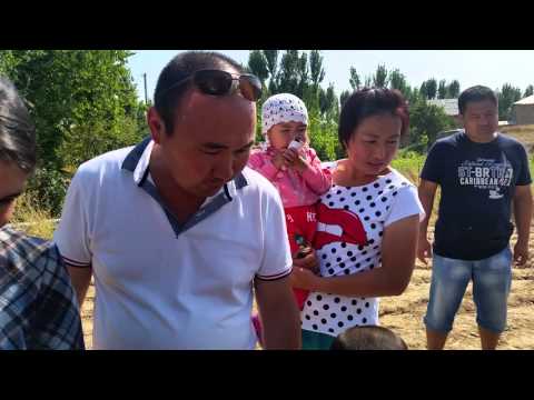 Видео: Таш кордо