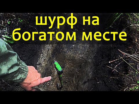 Видео: Копаю шурф на богатом месте