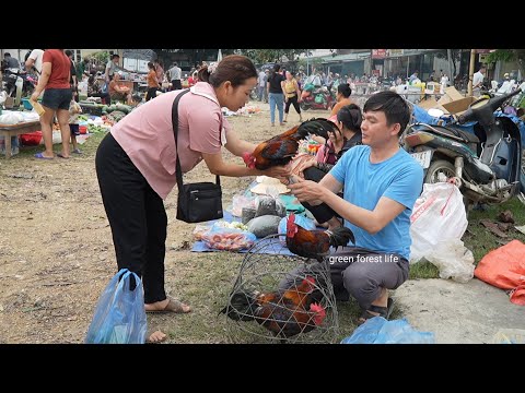 Видео: Продолжайте продавать диких кур.  Сделайте соль чили, чтобы оставить ее. Зеленая лесная жизнь