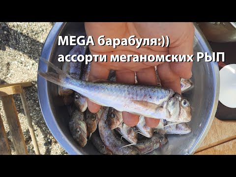 Видео: Ночная охота острога 2022 подводная охота морская 2022 ночная охота море 2022 подводная охота 2022