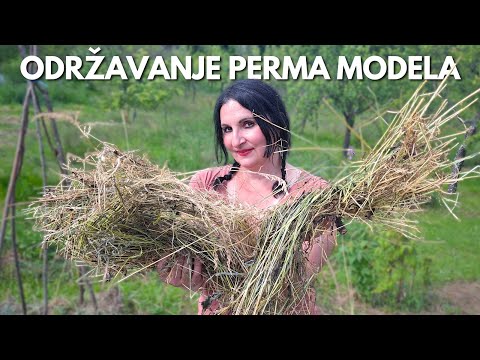 Видео: Обслуживание Модели Пермакультуры - Ответы На САМЫЕ ВАЖНЫЕ Вопросы