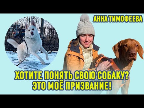 Видео: Как воспитать собаку? Как понять, в чем проблема поведения собаки? Вместе мы сможем найти решение!