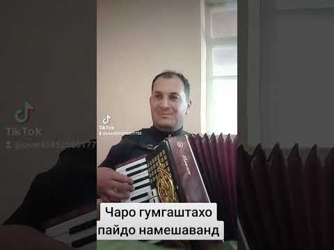 Видео: Чаро гумгаштахо пайдо намешанд