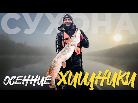 Видео: ЖДАЛ ЕГО ВСЕ ЛЕТО. Новый  РЕКОРД ПО СУДАКУ. Рыбалка в октябре.