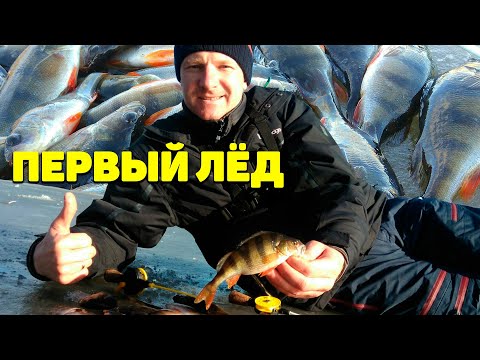 Видео: Ловля окуня на мормышку зимой. Безмотыльная ловля окуня на болоте