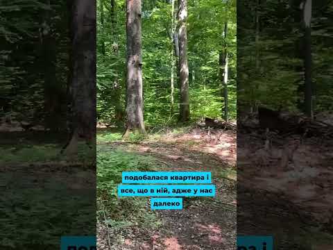 Видео: Ідеальна свекруха