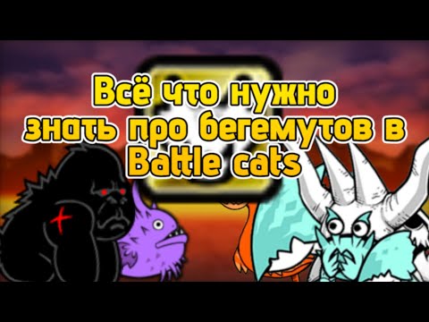 Видео: Все бегемуты в Battle Cats | Основная информация, характеристики и что нужно о них знать