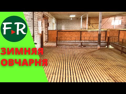 Видео: Продуманная овчарня Абдираимова. Содержание овец. Как отличить меринолэнд от иль-де-франс? Бишкек