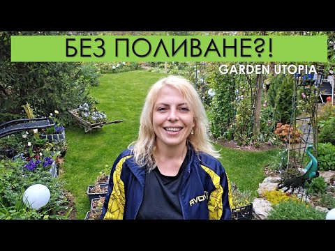 Видео: БЕЗ ПОЛИВАНЕ?! Композиции със сукуленти за слънчеви места