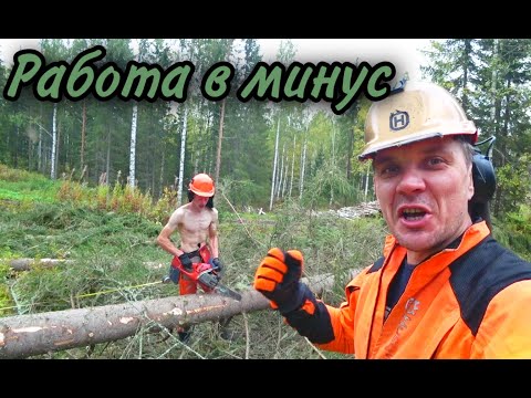 Видео: Чем Русский в Финляндии занимается. Такого ещё не было.  Работа