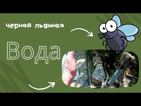 Видео: Добываю воду