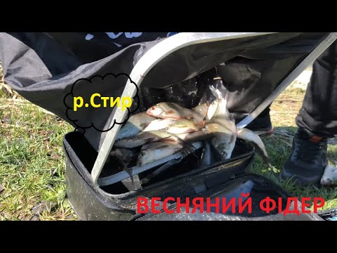 Видео: Рибалка на річці Стир, ЩО МОЖНА ЗЛОВИТИ ФІДЕРОМ ЗА 4 години???