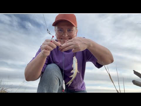 Видео: Рыбалка с семьей: что мы поймали? 🎣