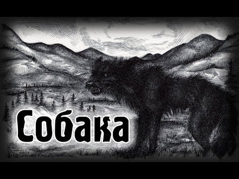 Видео: Страшные истории - Собака