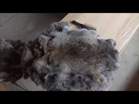 Видео: Выделка шкур кролика. окончание