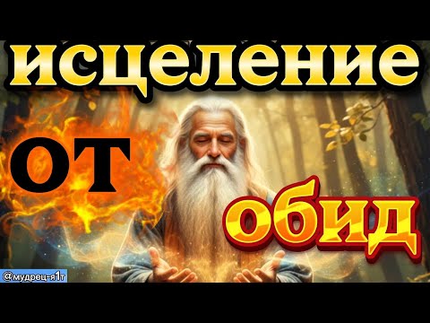 Видео: 31 октября 2025 г.