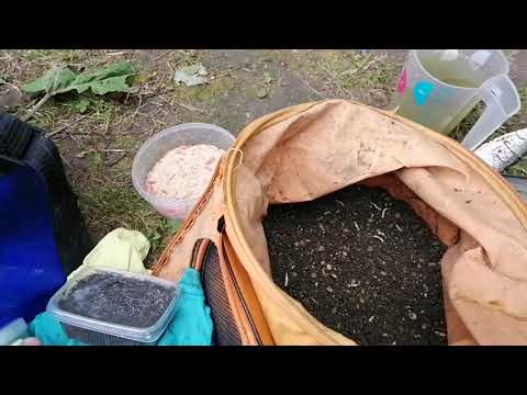 Видео: Рыбалка на Пяловском водохранилище. 07.08.21