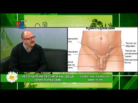 Видео: Фактор здравје - 19.12.2017