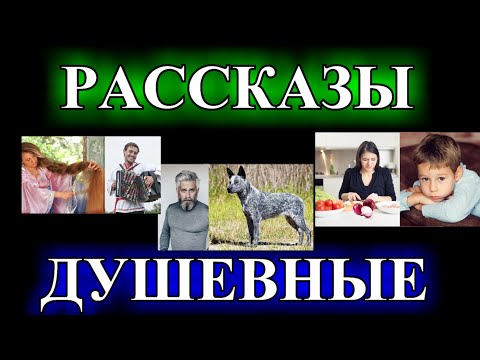 Видео: ОПТИМИСТИЧЕСКИЕ  ДУШЕВНЫЕ  РАССКАЗЫ❤️ПЕРЕЦ С СОЛЬЮ❤️ЧУЖАЯ КУРТКА❤️ОБМАНУТАЯ НЕВЕСТА @TEFI РАССКАЗЫ