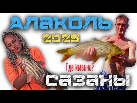 Видео: Отличная рыбалка на Алаколь в 2025. Сазаны рвут снасти. Семь дней дикого и весёлого отдыха !🎣🔥