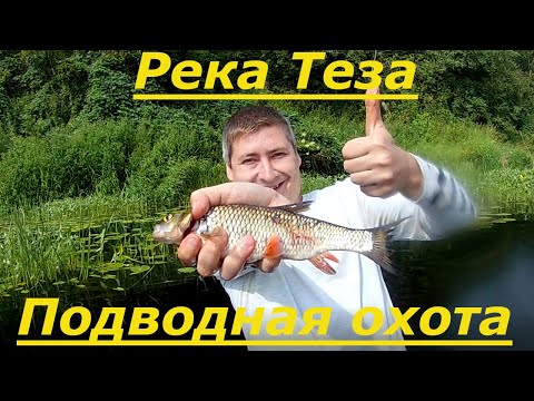 Видео: 24 часа Подводная Охота р.Теза