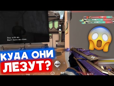 Видео: TANKZOR В ДИКОЙ ФОРМЕ | Нарезка со стрима Танкзора #49