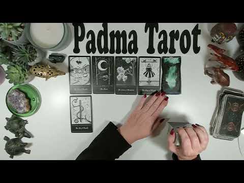 Видео: ТЕЛЕЦ♉️ВАША УДАЧА СКОРО ИЗМЕНИТСЯ, ЕСЛИ ВЫ ЭТО СДЕЛАЕТЕ! 10-16 НОЯБРЯ КАРЬЕРА И ФИНАНСЫ 💰Еженедел...