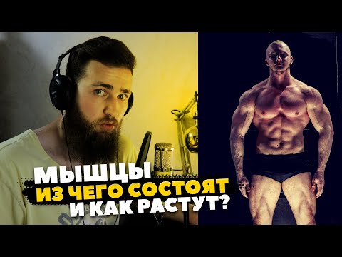 Видео: КАК РАСТУТ МЫШЦЫ (Никулин) / Саркоплазматическая гипертрофия мышц