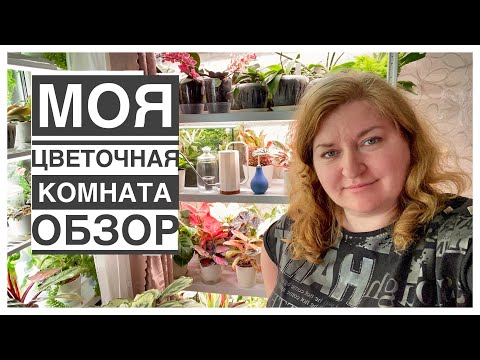 Видео: Обзор моей цветочной комнаты | Будни цветовода | 09.06.2022г.