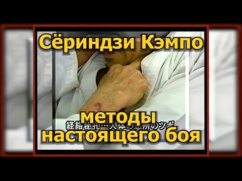 Видео: Техника Сёриндзи Кэмпо, Гохо, Дзюхо. Воздействия на болевые точки. Боевые искусства.
