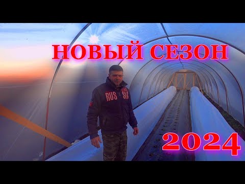 Видео: Зачистка и первая обработка клубники весной, первая подкормка!