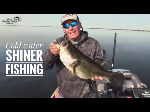 Видео: Ловля рыбы на мелководье в холодной воде