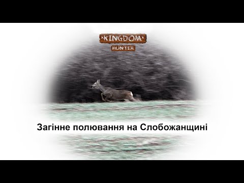 Видео: Загінне полювання на Слобожанщині