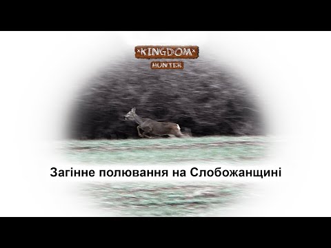 Видео: Загінне полювання на Слобожанщині