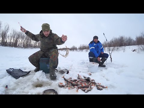 Видео: В ЭТОЙ ЯМЕ ВСЯ РЫБА. ОБ ЛОВИЛИ ВСЕХ РЫБАКОВ!!!