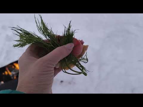 Видео: Чёрно-белое кино ! На КОЛЫМЕ зима в октябре!