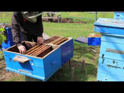 Видео: Переход с 300 рамки на 230 ю Рут