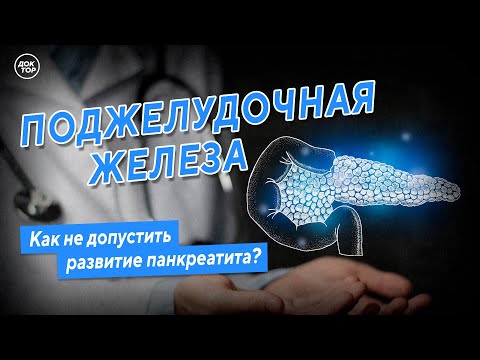 Видео: Поджелудочная железа. Как не допустить развитие панкреатита?