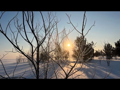 Видео: Классная охота на зайца! Эмоции через край!