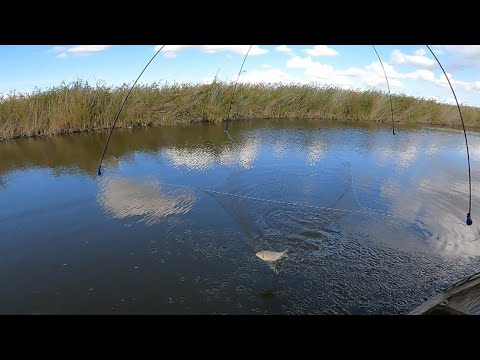 Видео: рыбалка на паук подъёмник хапугу и кастинговую сеть