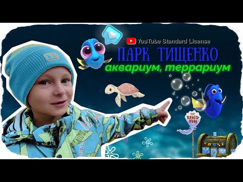 Видео: Влог: Обзор ПКиО им. Тищенко Дом Аквариум 🐠🕷🐍🐊