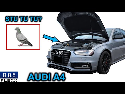 Видео: 2 мода, заставляющие людей думать, что это ОГРОМНЫЙ ТУРБО... или птица?