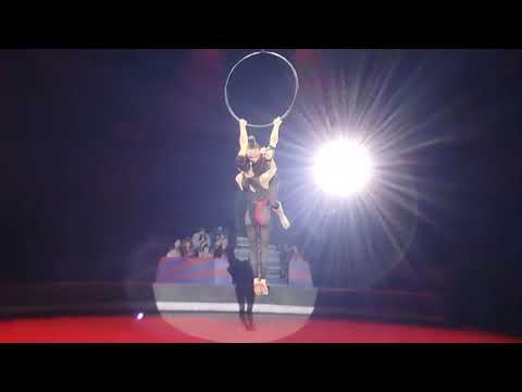 Видео: "DUO ANTRESOL" ГИМНАСТКИ В КОЛЬЦЕ, "ШОУ МОРСКИХ КОТИКОВ", ЦИРК "АВТОВО"